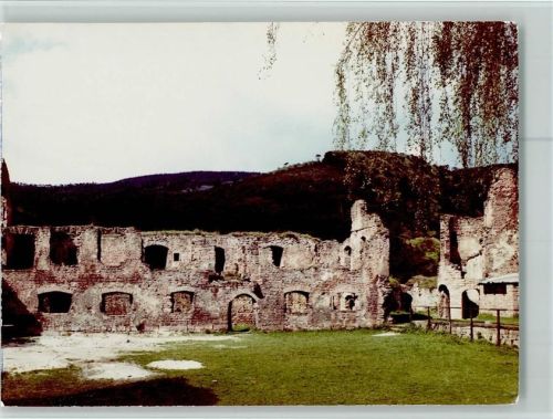Bad Dürkheim Burgruine