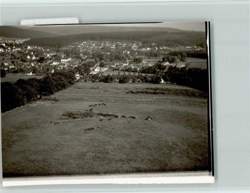 Neuhaus Luftaufnahme Weide