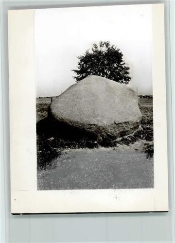 Holtwick Foto