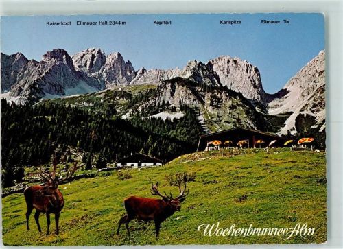 Wochenbrunner Alm Hirsche Wildpark AKU2