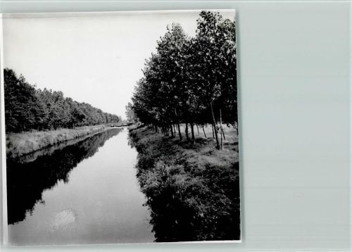 Dörpen Baum Allee am Kanal Foto 12 x 12 cm