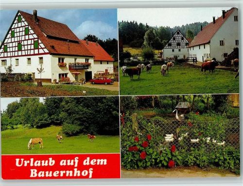 Velden Kühe und Haflinger Ferien auf dem Bauernhof