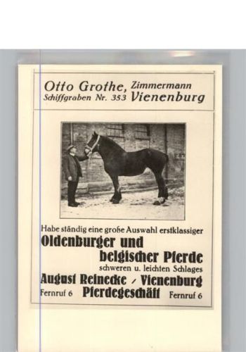 Vienenburg werbekarte für Pferdegeschäft