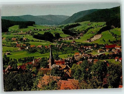 Baiersbronn Blick auf Baiersbronn