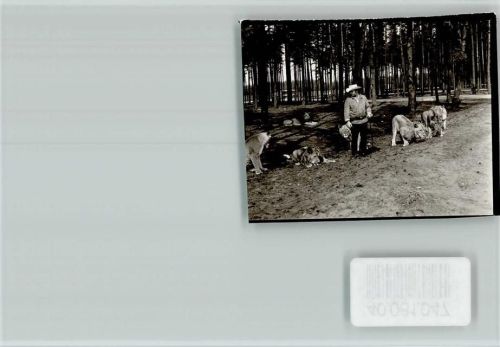 Stukenbrock Ranger in der Löwenherde