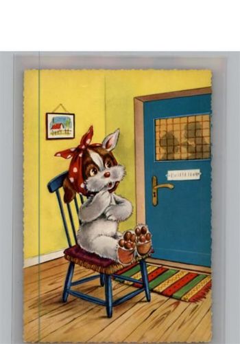 Hunde Zahnarzt