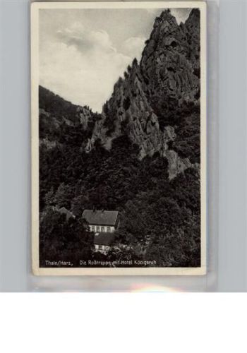 Thale Hotel Königsruh AKU2