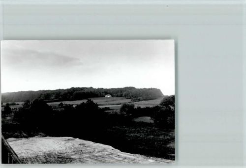 Schapdetten Foto