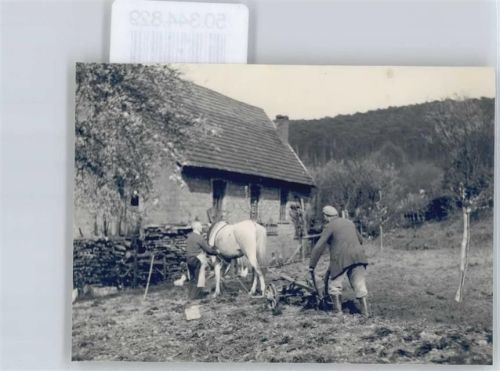 Fischbach Foto