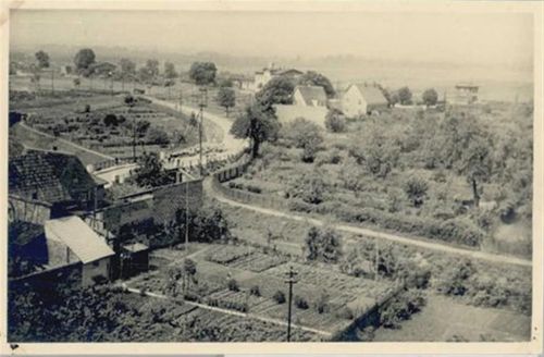 Herringen Herringen (4700) Foto-Karte I-II (keine Ak-Einteilung)
