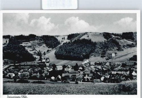 Steinwiesen