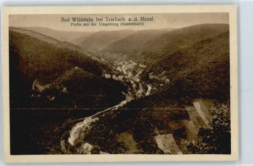 Bad Wildstein Luftaufnahme