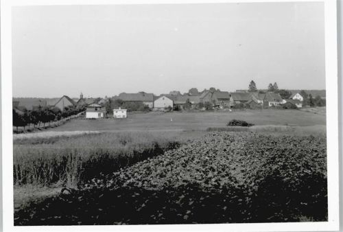 Linden Foto-Karte