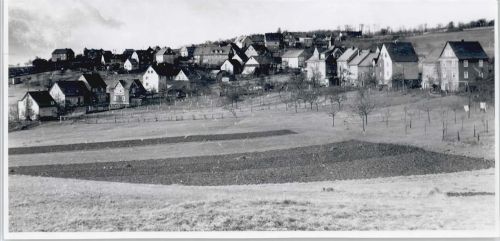 Zinhain Foto