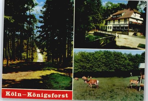 Köln Rath/Heumar 808