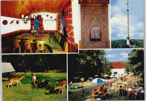Dannenfels Waldhaus Donnersberg