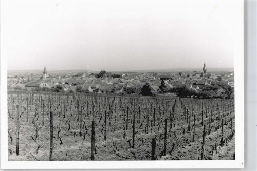 Wöllstein Foto-Karte