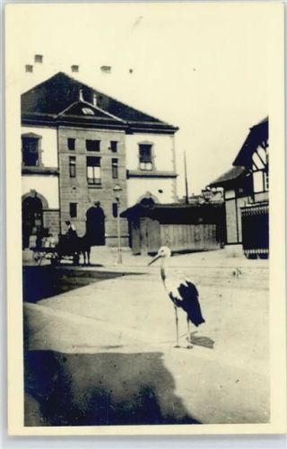 Lörrach Storch am Bahnhof , Foto-Karte