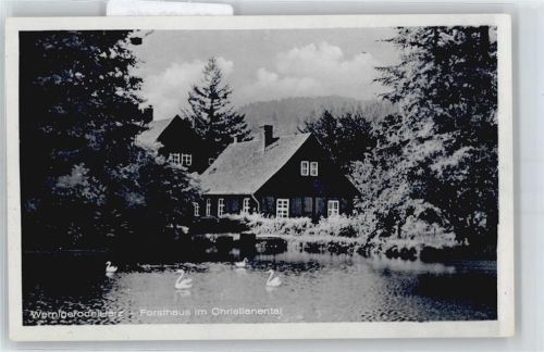 Wernigerode Teich Schwan Haus Baum