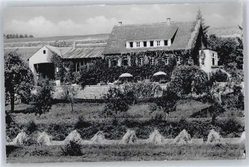 35075 W3554 Erdhausen - Künstlerhaus Feld Baum