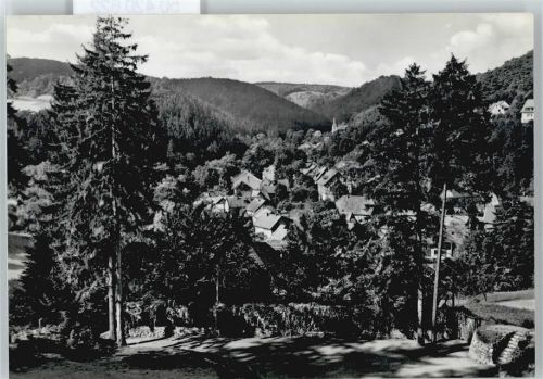 Altenbrak Baum Berg Haus