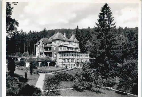 Bad Sachsa Kronbergs Sanatorium Eulingswiese
