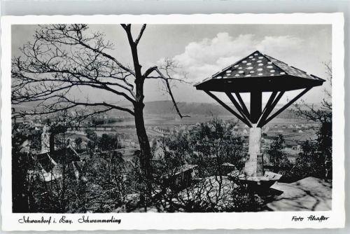 Schwandorf Schwammerling