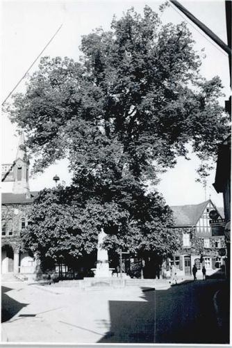 Geisenheim Foto-Karte