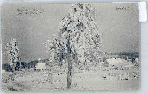 Zinnwald-Georgenfeld Schnee Baum Haus