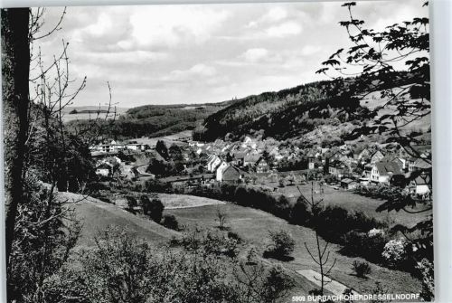 57299 W5909 Niederdresselndorf