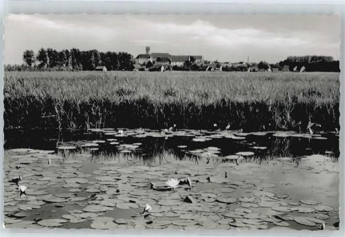 Buchau See Feld Haus Baum