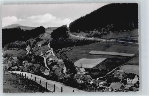 Schwalefeld Straße Zaun Haus Baum Berg