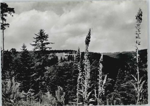 Bad Wildbad Sommerberg