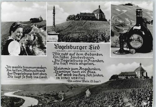 Volkach Vogelsburg , Wein