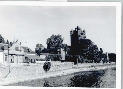Eltville Foto Fluss Haus Baum