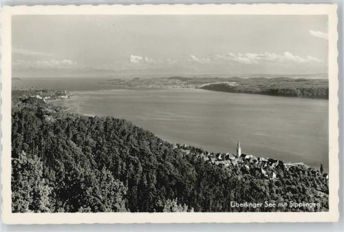 Überlingen See Wald Fliegeraufnahme Panorama