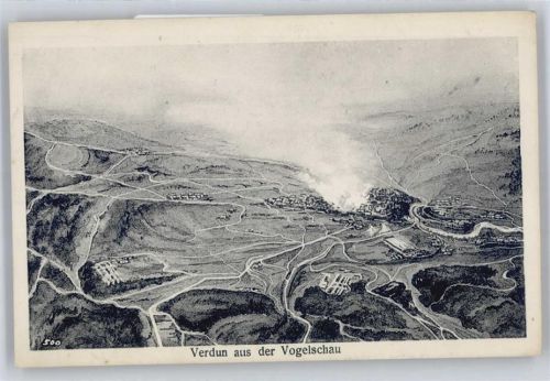 Verdun Vogelschau