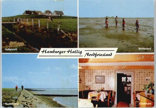 Hamburgerhallig
