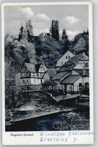 Grenzau Burgruine