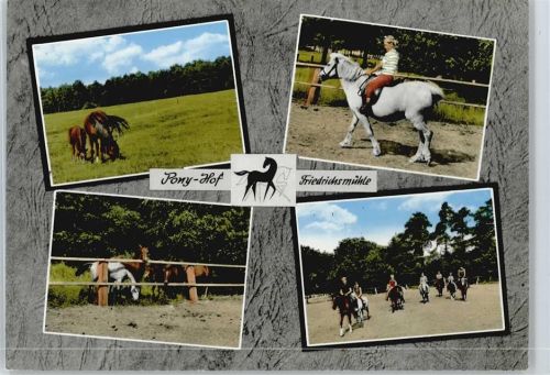 Knesebeck Pony-Gestüt