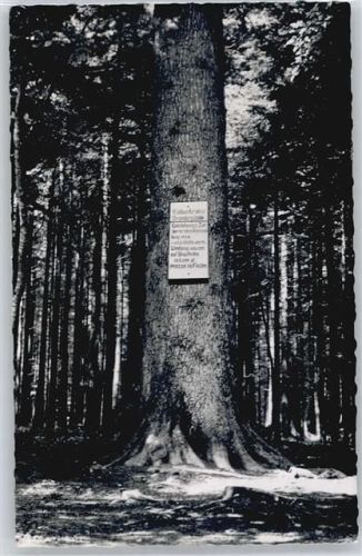 Kälberbronn