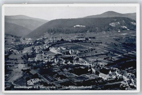 Gimmeldingen Luftbild