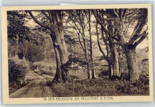 Eutin Waldpartie