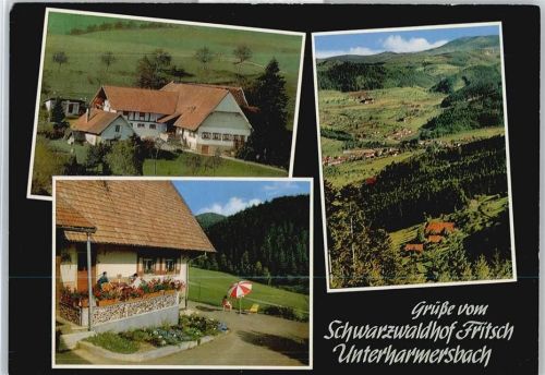 Unterharmersbach Schwarzwaldhof Fritsch