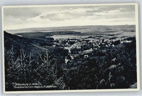 Ilsenburg Luftaufnahme