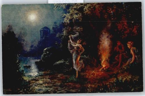 Mondscheinnacht