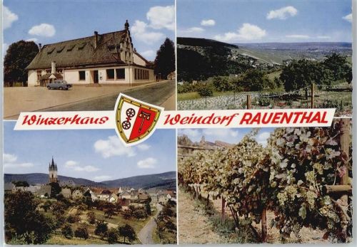 Rauenthal Winzerhaus Rauenthal, Gesamtansicht, Weinanbau