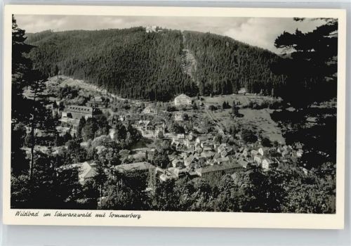 Bad Wildbad