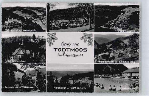 Todtmoos Panorama Schwimmbad Berg