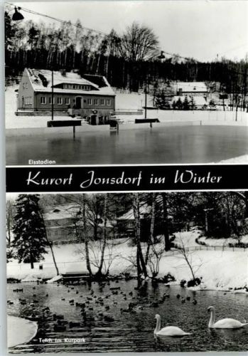 Kurort Jonsdorf Eisstadion, Teich im Kurpark, Schwan